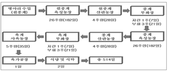 이미지: 육계사육 흐름도