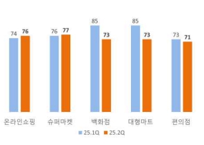 이미지: 소매업태별 전망치