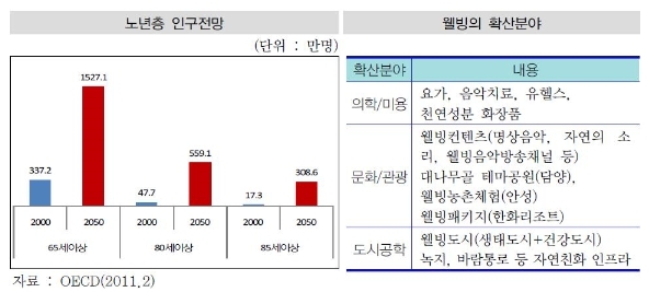 이미지: 노년층 인구전망 및 웰빙의 확산분야