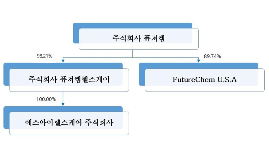 이미지: 출자현황 계통도