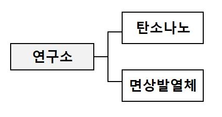 이미지: (주)디에이치오토넥스 탄소나노연구소 조직도