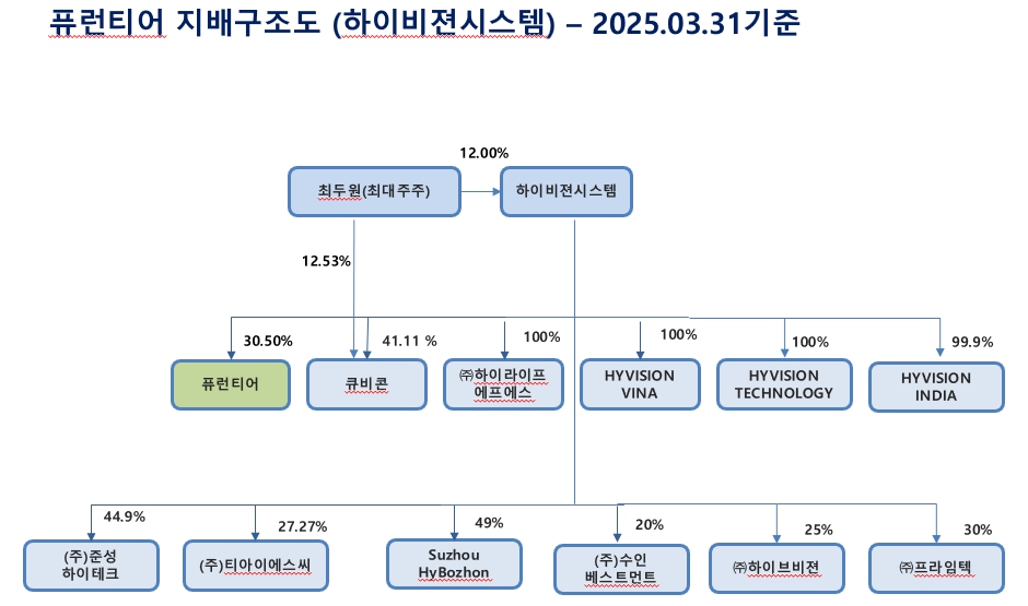 이미지: 하이비젼 지배구조도_2025.03.31