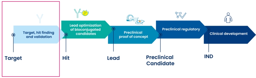 이미지: 단계별 약물 발견 프로세스