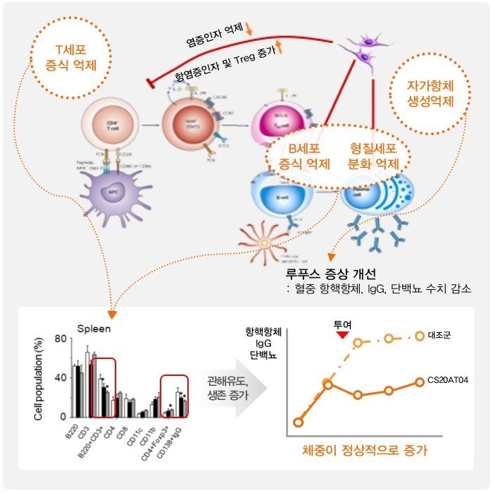 이미지: ce211at15의작용기전