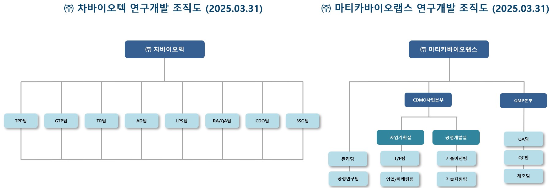 이미지: 연구개발 조직도(2025.03.31)