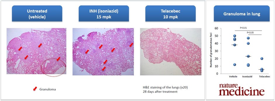 이미지: [텔라세벡의 전임상 결과(Nature)]