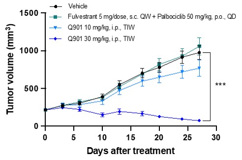 이미지: [CDK4/6 저해제 입랜스(Palbociclib) + 파슬로덱스(fulvestrant) 내성 유방암에서의 모카시클립(Q901) 효과]