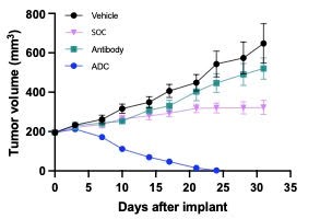 이미지: 삼중음성유방암 모델에서 QLi5 ADC 효능