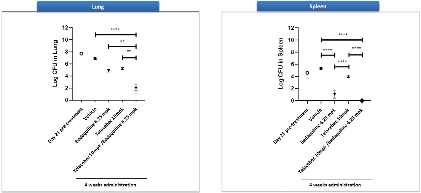 이미지: [텔라세벡과 Bedaquiline 병용효과]