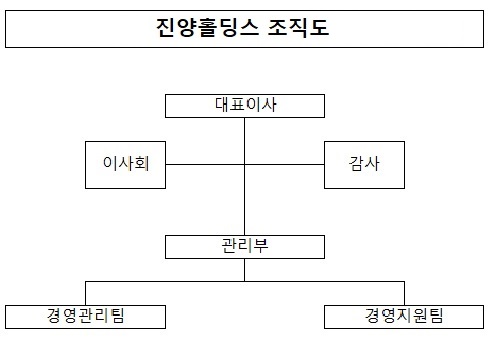 이미지: 홀딩스 조직도