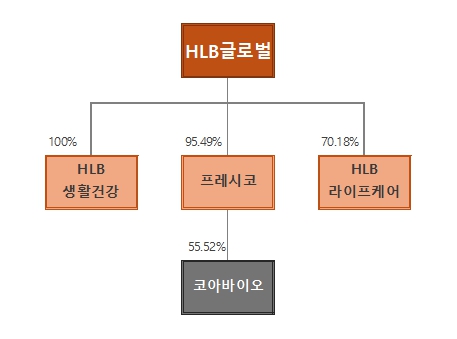 이미지: 주요 자회사 관계도_25.03.31