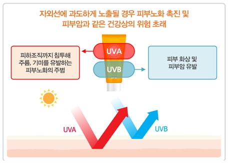 이미지: <자외선(UV)의 종류>