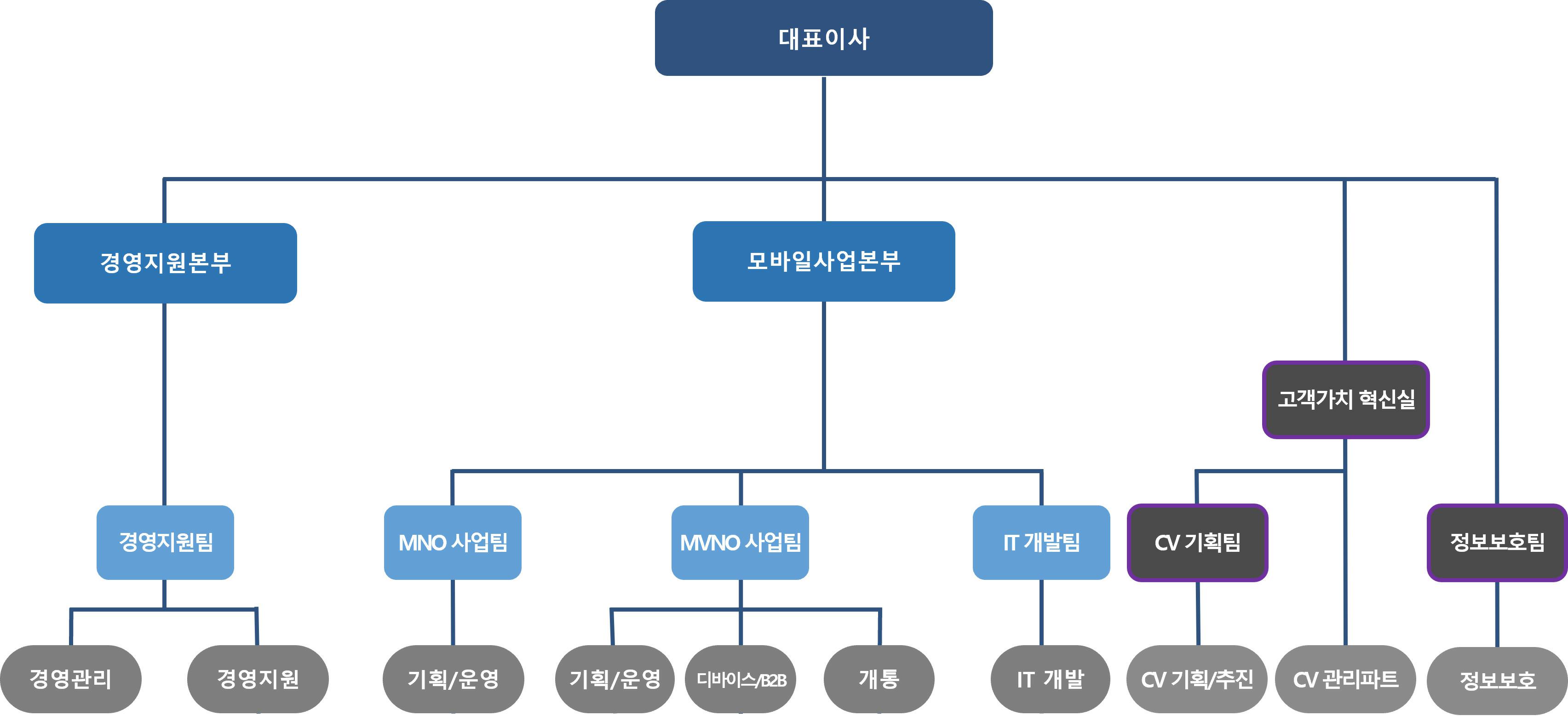 이미지: (주)아이즈비전 조직도
