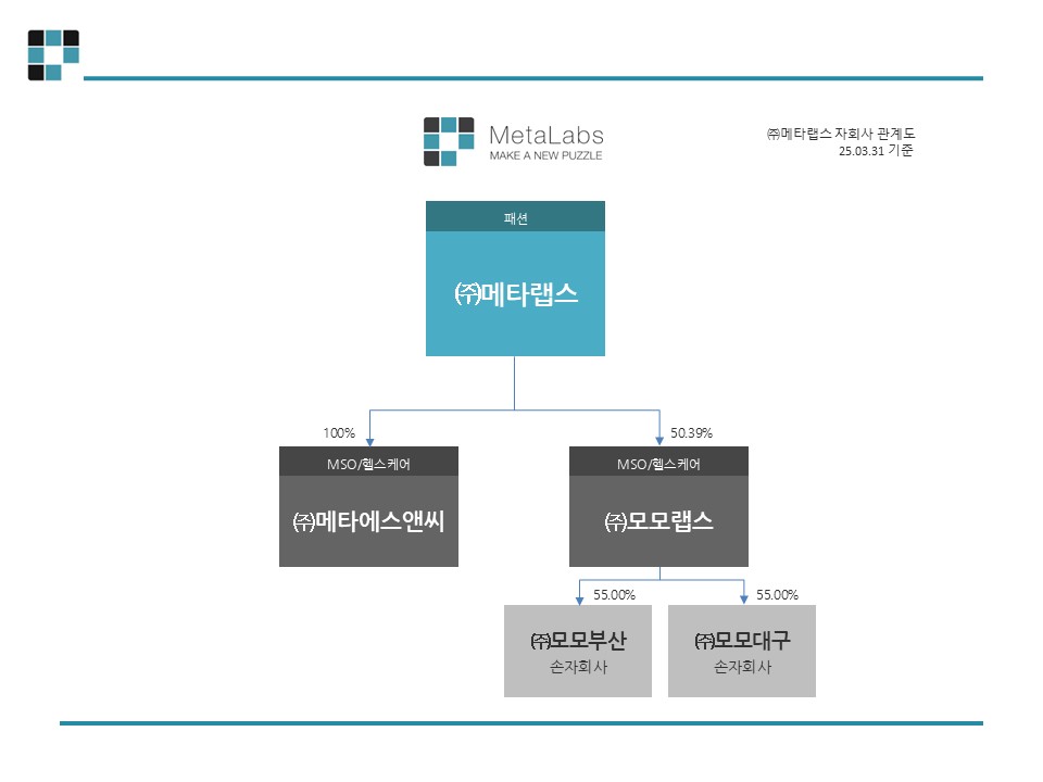 이미지: 자회사조직도_20250331
