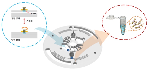이미지: [탄성(elastomer) 밸브를 갖는 랩온어디스크 모식도]