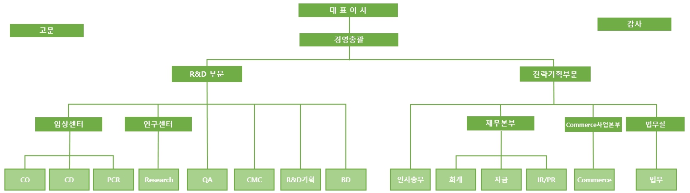 이미지: 조직도