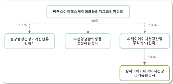 이미지: 씨엑스아이헬스케어테크놀리지그룹리미티드_지배구조도_2024