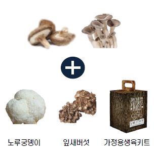 이미지: 당사 버섯사업 판매 항목