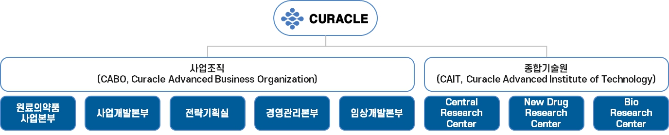 이미지: 연구개발 조직 현황