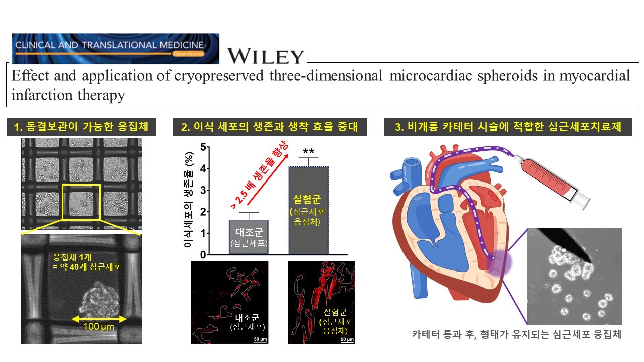 이미지: Clinical and Translational Medicine, (IF 11.492) 2022.Jan.