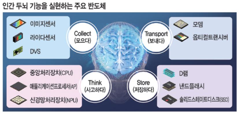 이미지: (출처 : 문화일보)