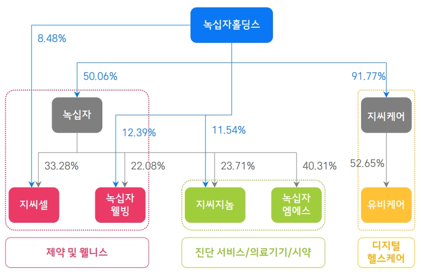 이미지: 주요 계열사 지배 구조(1Q25 기준)