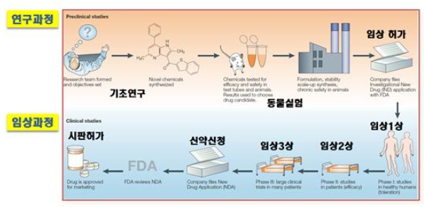 이미지: 신약 허가를 받기 위한 개발 과정