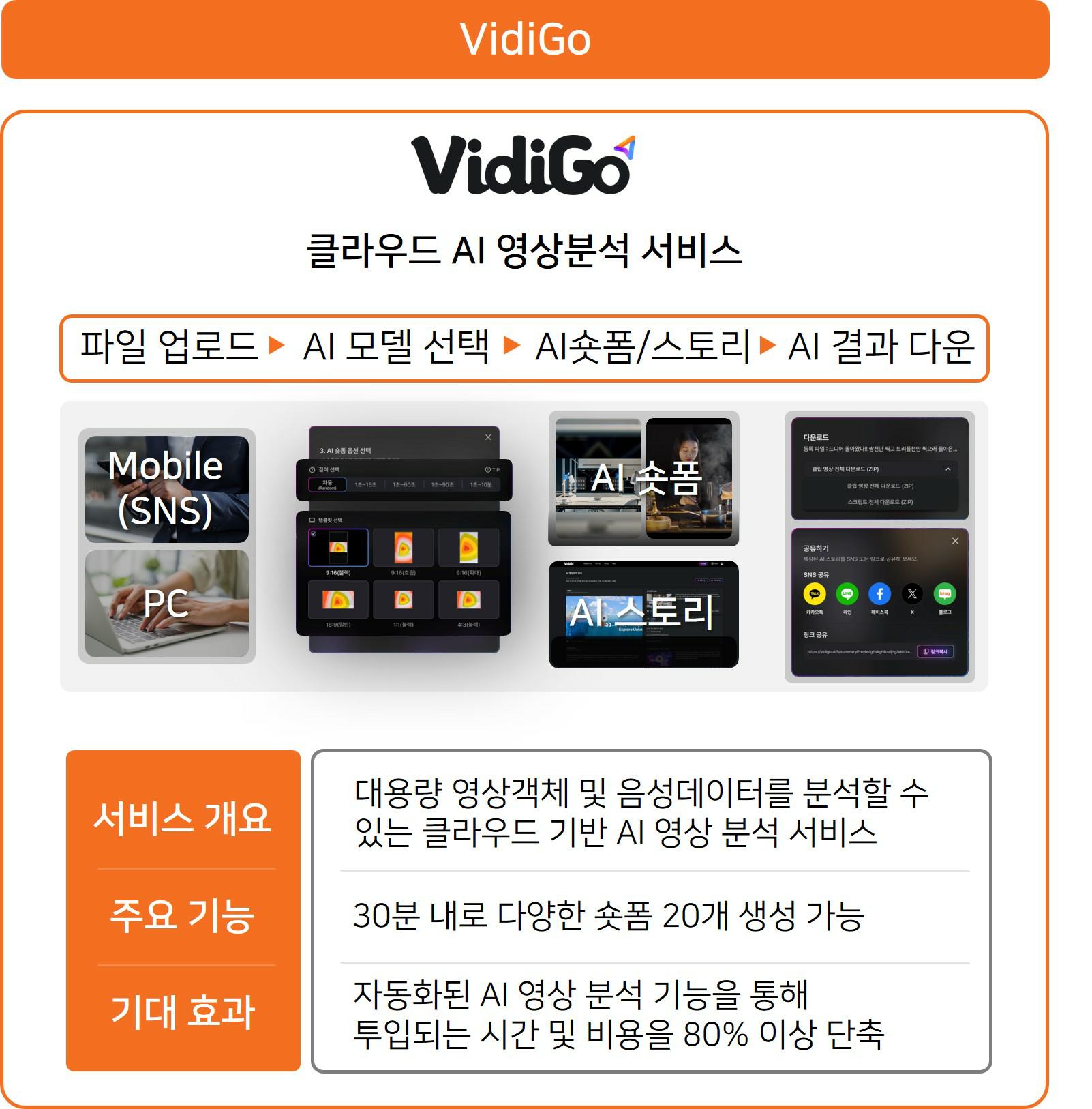 이미지: VidiGo 제품설명