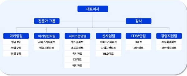 이미지: AAI헬스케어 조직도