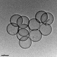 이미지: [700㎚ 중공 Silica]