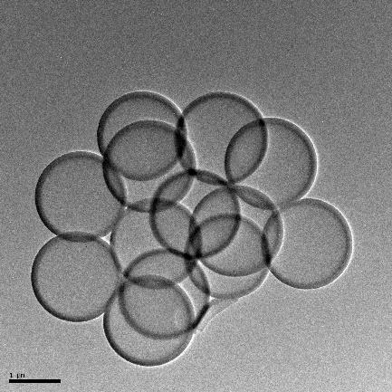 이미지: [1500㎚ 중공 Silica]