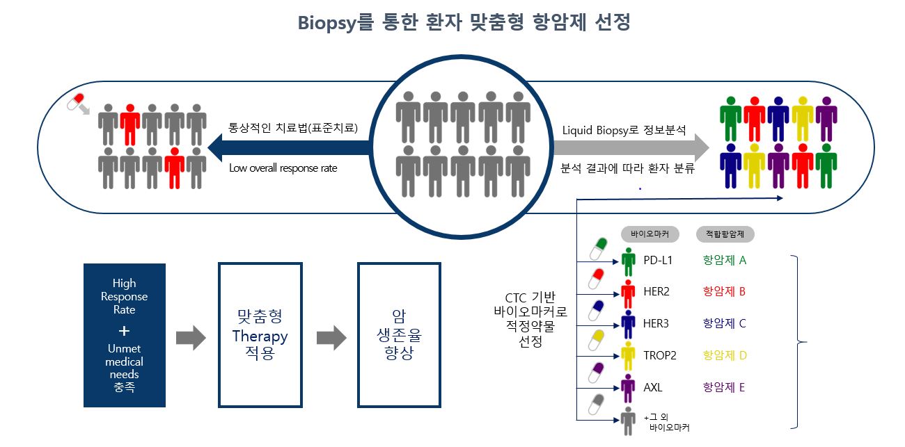 싸이토젠] 반기보고서(일반법인)