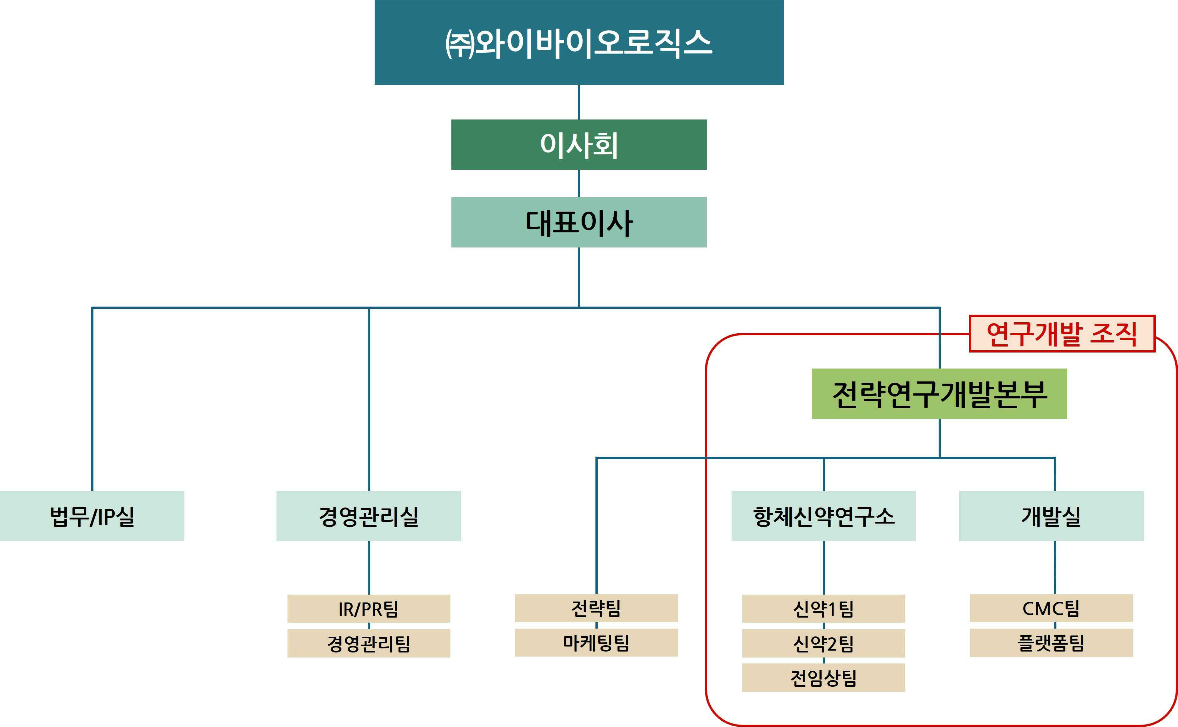 이미지: 와이바이오로직스 조직도