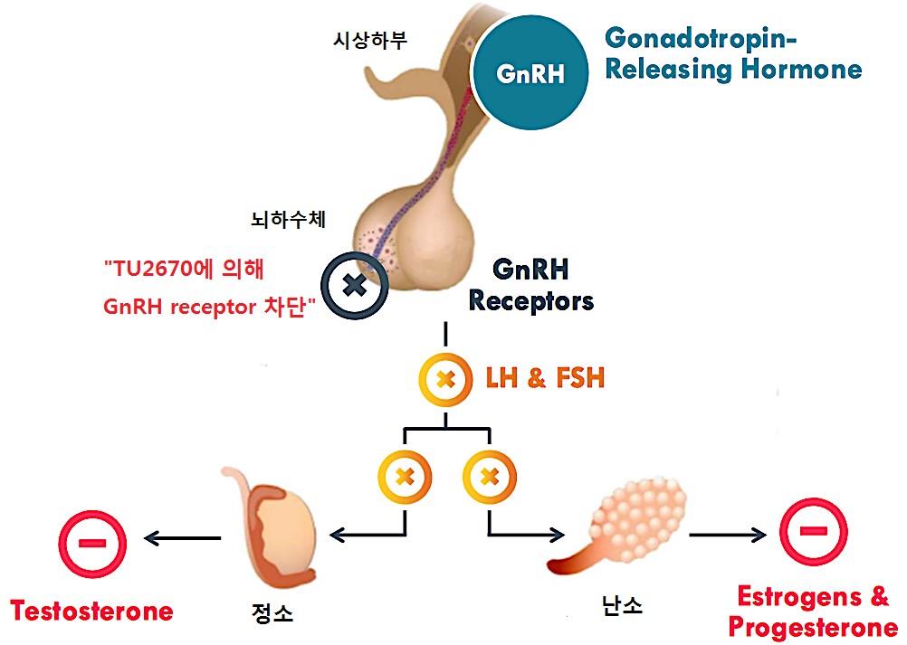이미지: [TU2670의 작용기전]