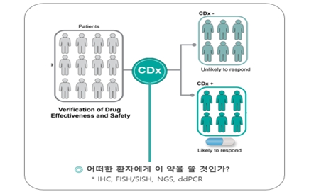 이미지: 동반진단의 필요성 및 활용 방안