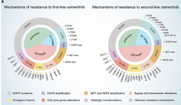이미지: osimertinib 내성 egfr 변이 비소세포폐암 환자 치료전략