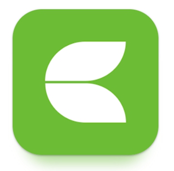 이미지: 슈얼리즈