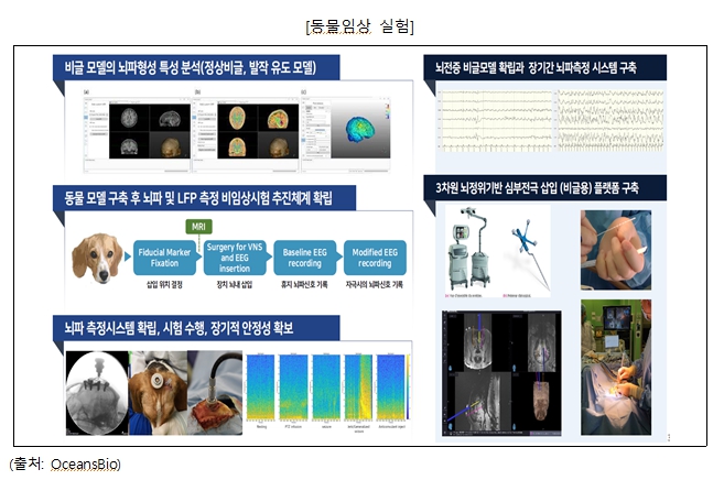 이미지: 동물임상 실험