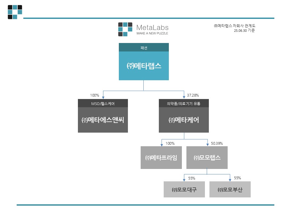 이미지: 자회사조직도_20250630
