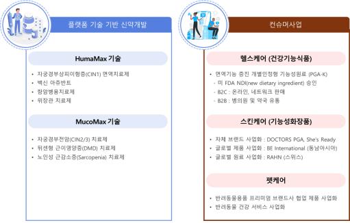 이미지: 주요사업영역