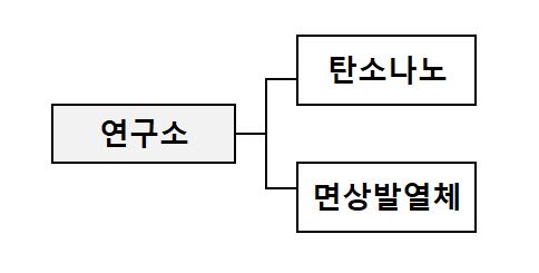 이미지: ㈜디에이치오토넥스 탄소나노연구소 조직도