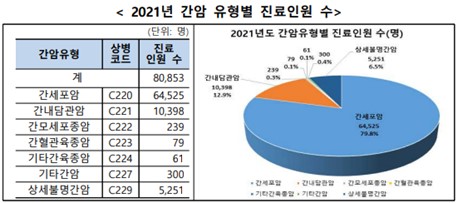 이미지: 6. 2021년 간암 유형별 진료인원 수 (국민건강보험공단 진료데이터(2021))