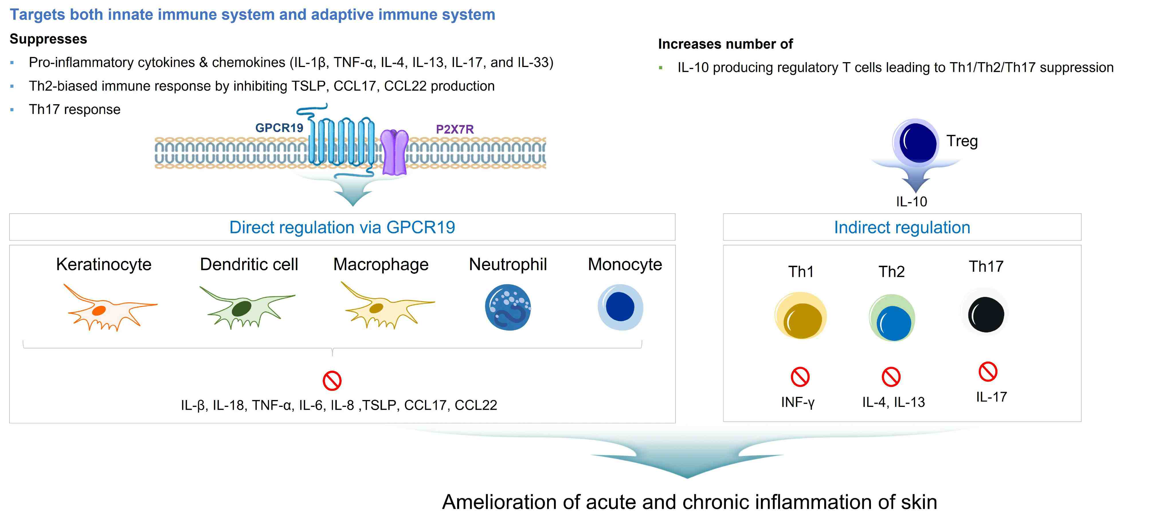 이미지: 아토피 피부염의 작용 메커니즘