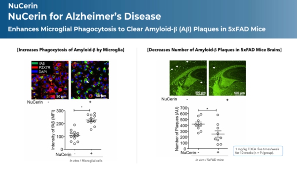 이미지: NuCerin 동물실험 연구결과