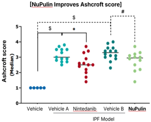 이미지: NuPulin 전임상 비교결과