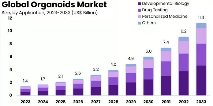 이미지: 오가노이드 전체 시장 가치 전망