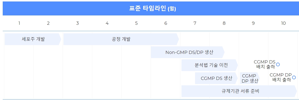 이미지: 유전자부터 임상허가 신청(IND)까지의 개발 경로