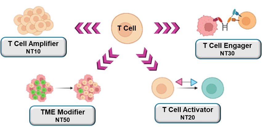 이미지: T세포 중심의 파이프라인 구성