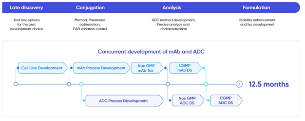 이미지: adc 의약품 개발 공정 타임라인