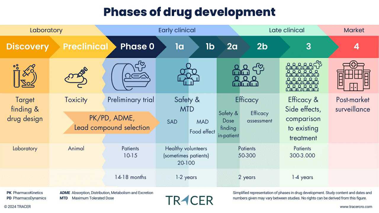 이미지: 신약 개발 단계
